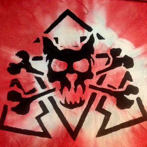 Lautstürmer, batik cat - patch