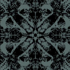 Insidious Process, Mirrors Of The Dead - LP