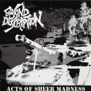 Beyond Description, acts of sheer madness - CD