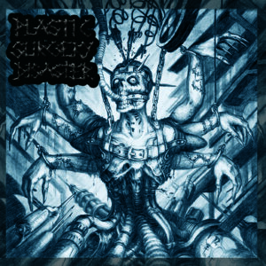 Plastic Surgery Disaster, s/t 12”