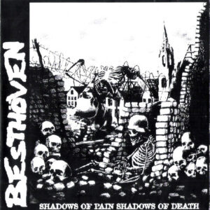 Besthöven / Alternate System - Shadows Of Pain Shadows Of Death - 7"