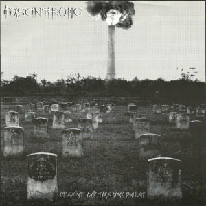 Misanthropic - Open Up And Take Your Bullet - 7"