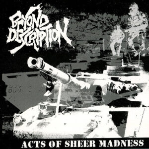 Beyond Description - Acts Of Sheer Madness - CD
