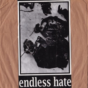 Endless Hate - S/T - 7"