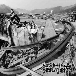 Earth Crust Displacement, D-takt noize - LP